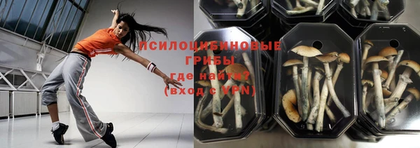 МДПВ Богданович
