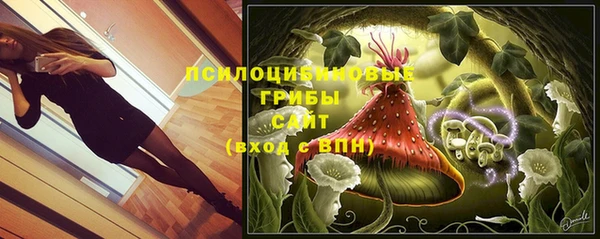 МДПВ Богородск