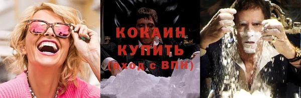 МДПВ Богданович